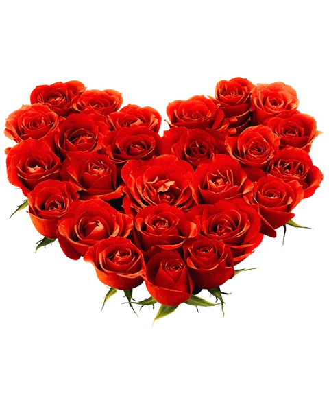 Composizione di rose rosse
